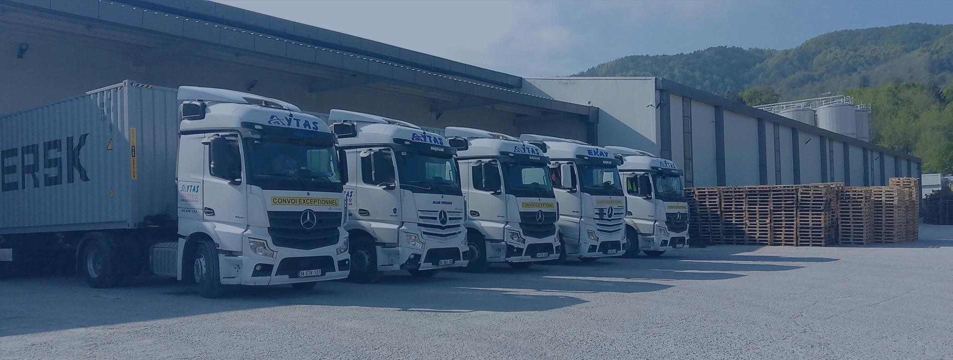 Expert Solutions in Low-Bed and Container Transportation